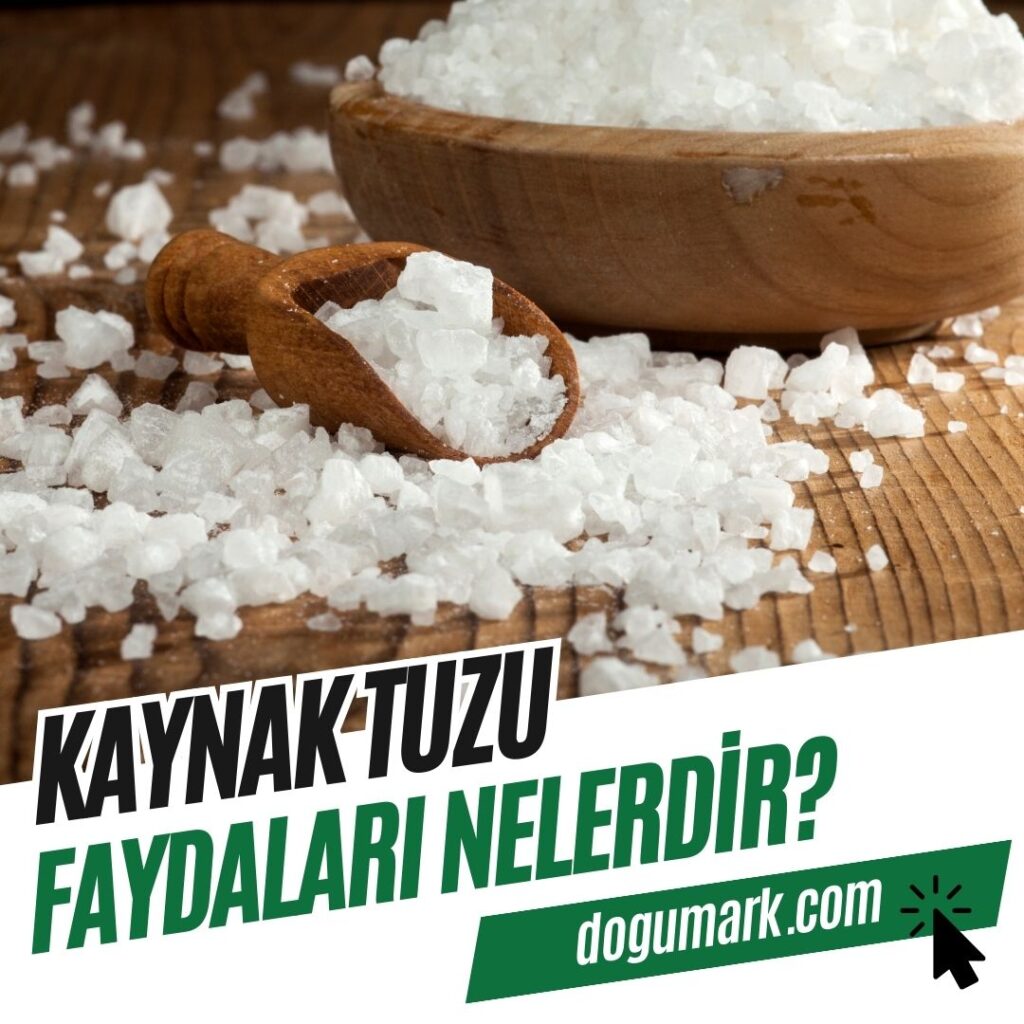 Kaynak Tuzu Faydaları Nelerdir