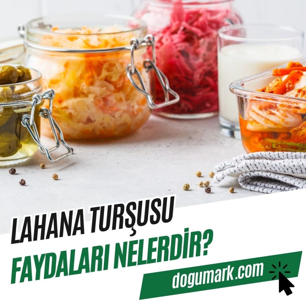 Lahana Turşusu Faydaları Nelerdir