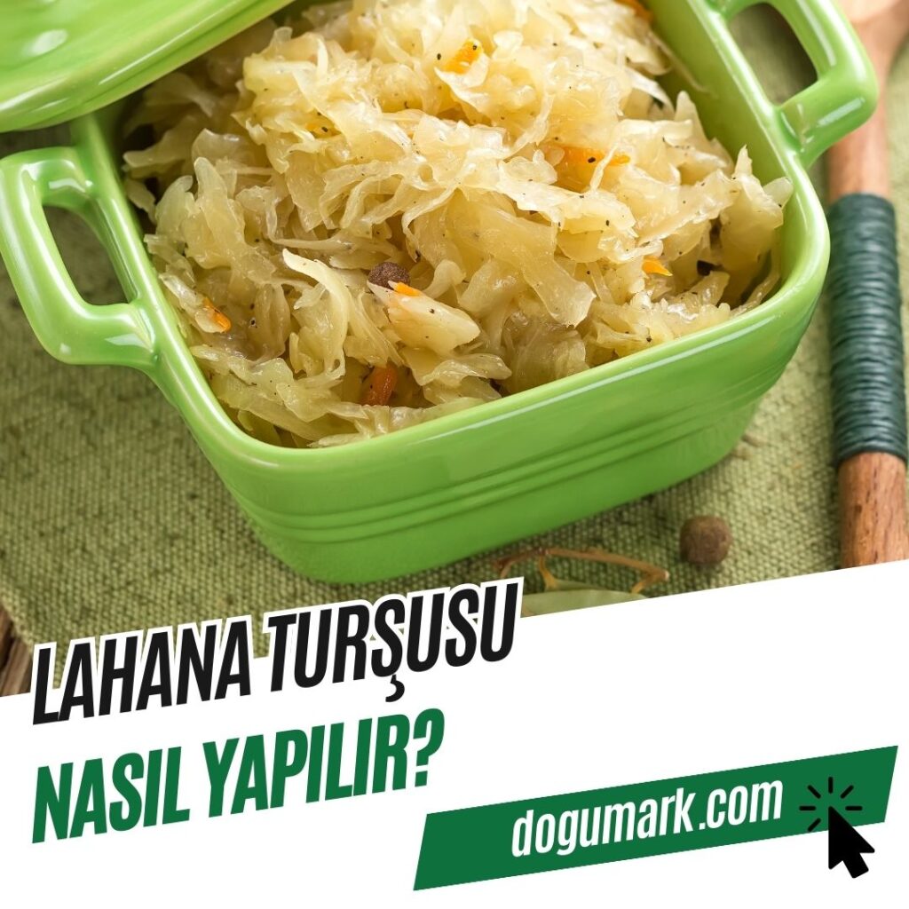 Lahana Turşusu Nasıl Yapılır
