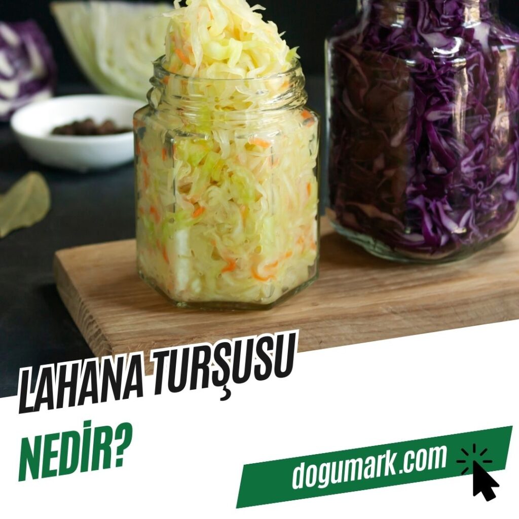 Lahana Turşusu Nedir