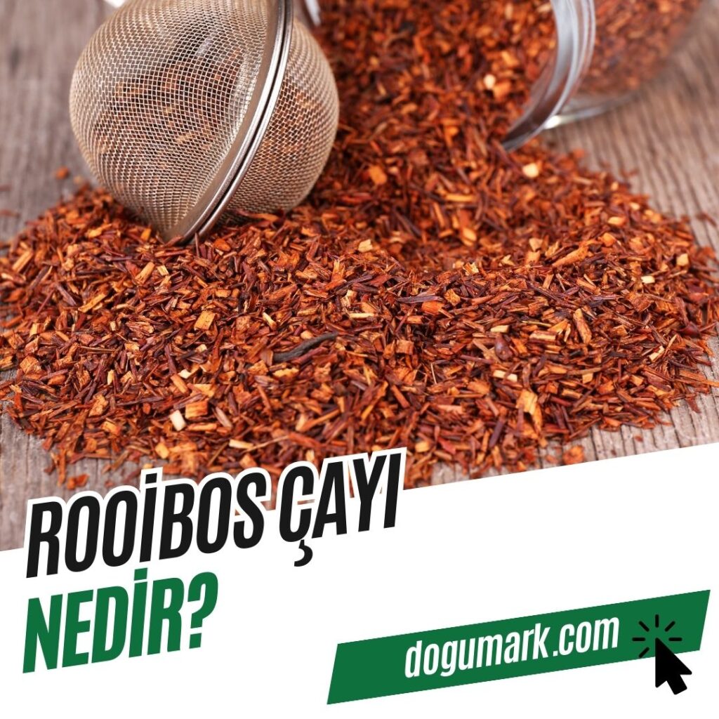 Rooibos Çayı Nedir