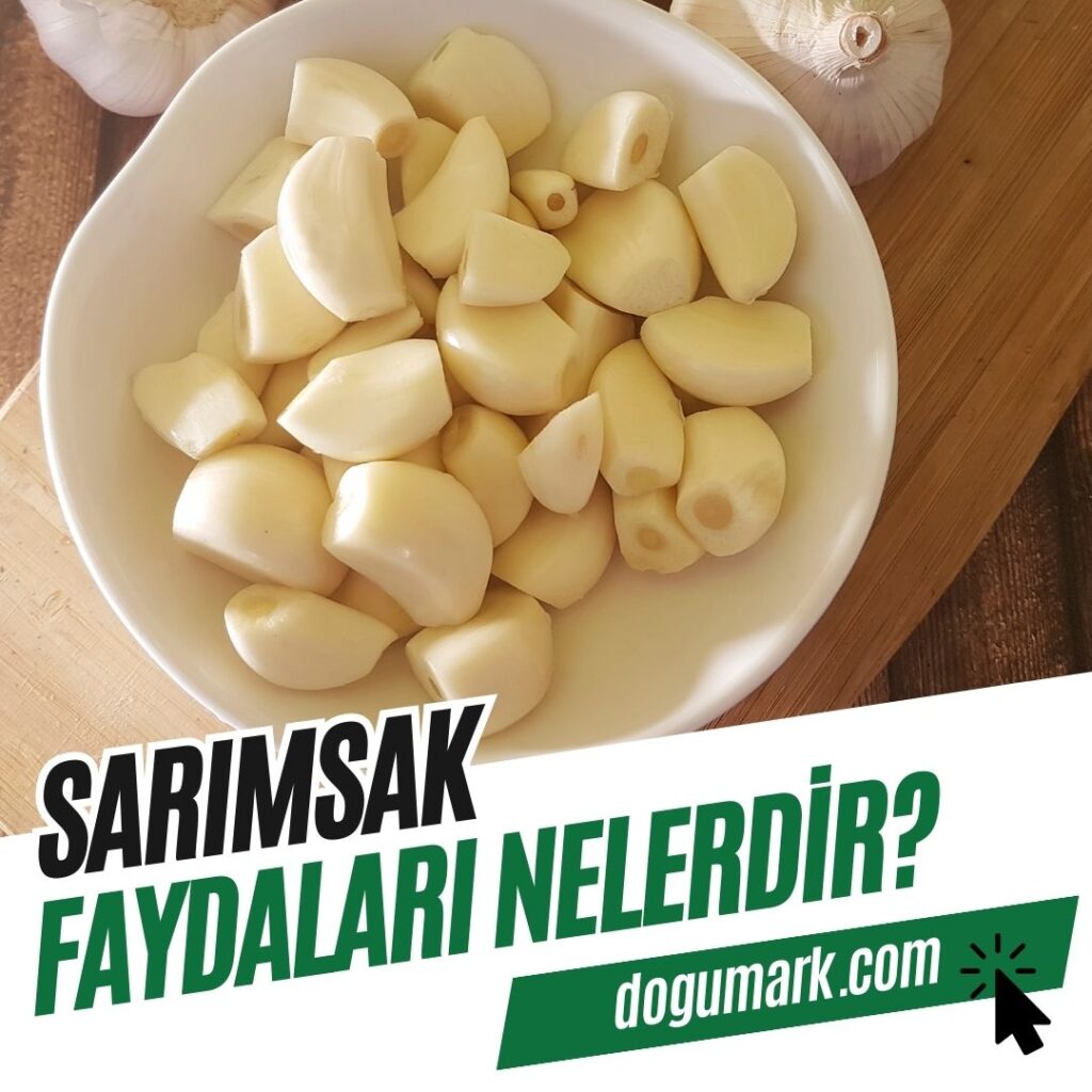 Sarımsak Faydaları Nelerdir