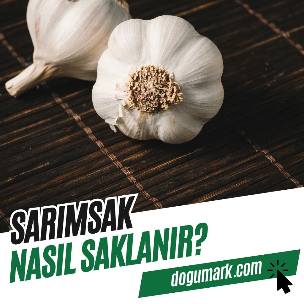 Sarımsak Nasıl Saklanır