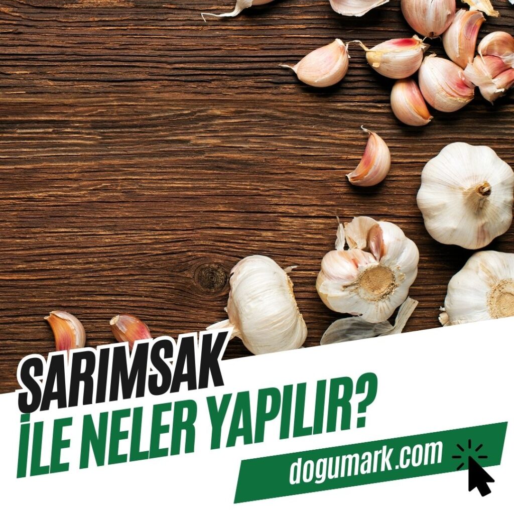 Sarımsak ile Neler Yapılır