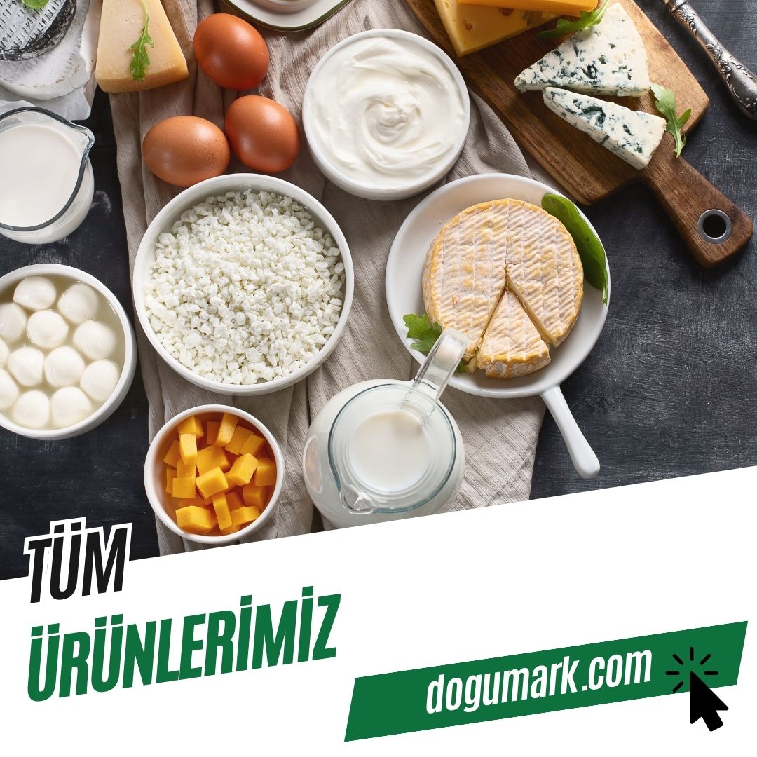 Tüm Ürünler