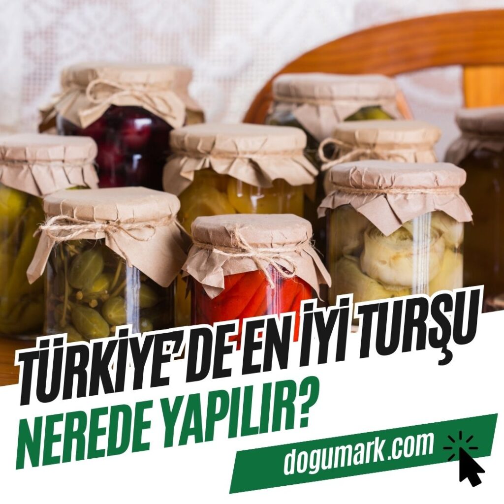 Türkiye'de En iyi Turşu Nerede Yapılır