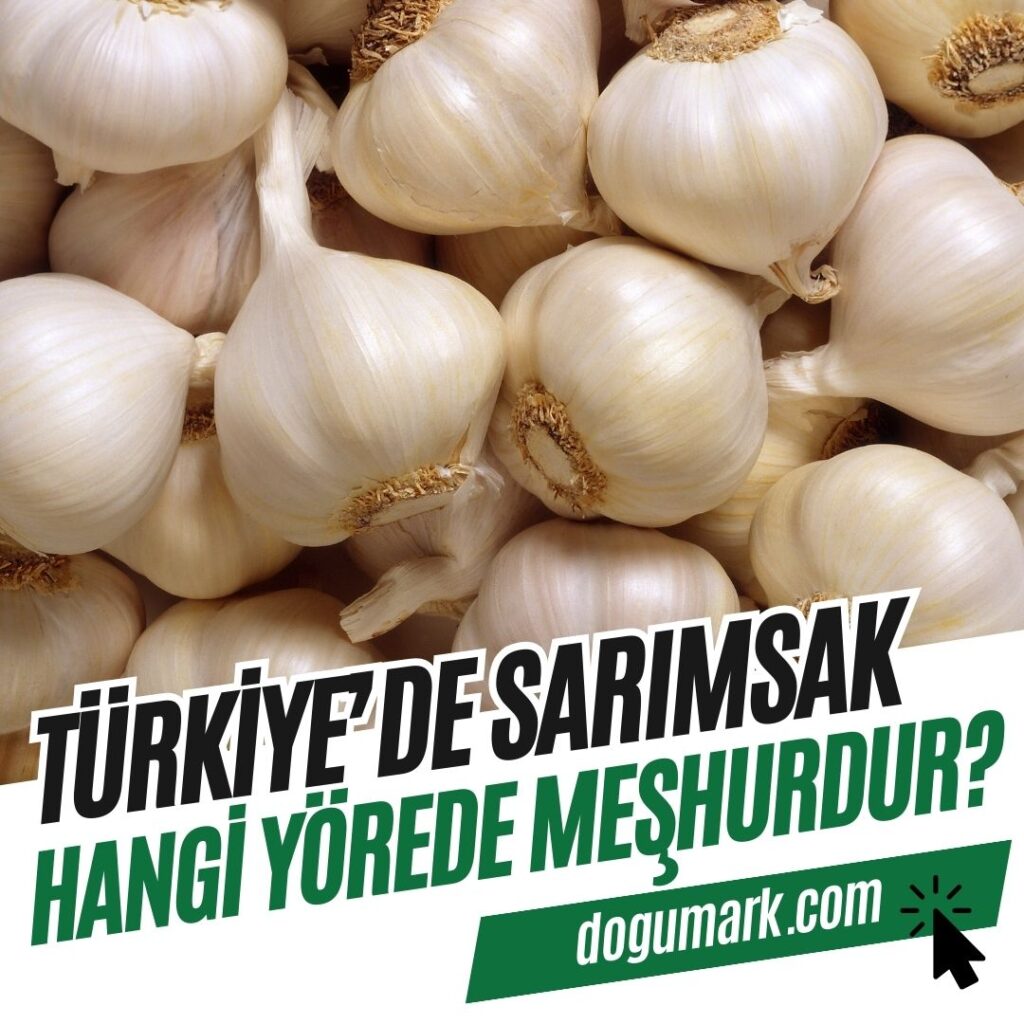 Türkiye'de Sarımsak Hangi Yörede Meşhurdur