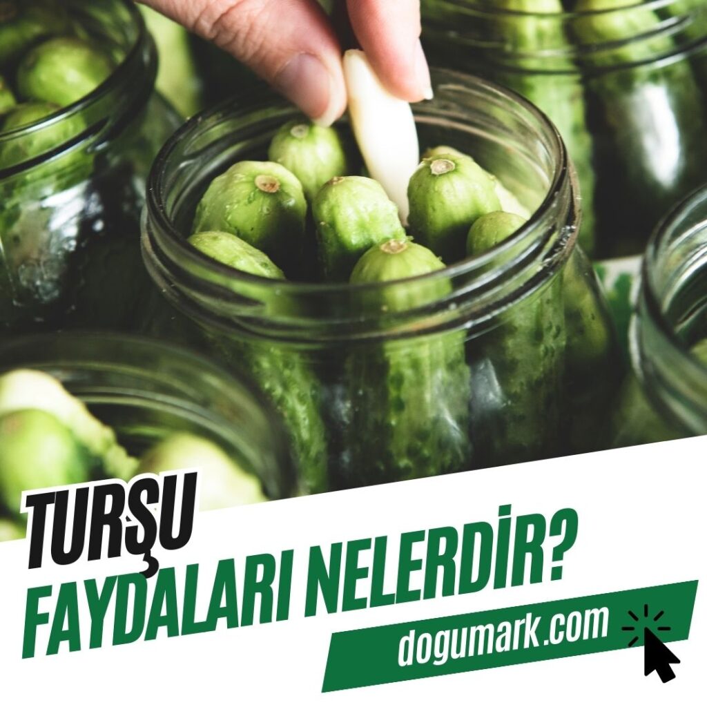 Turşu Faydaları Nelerdir