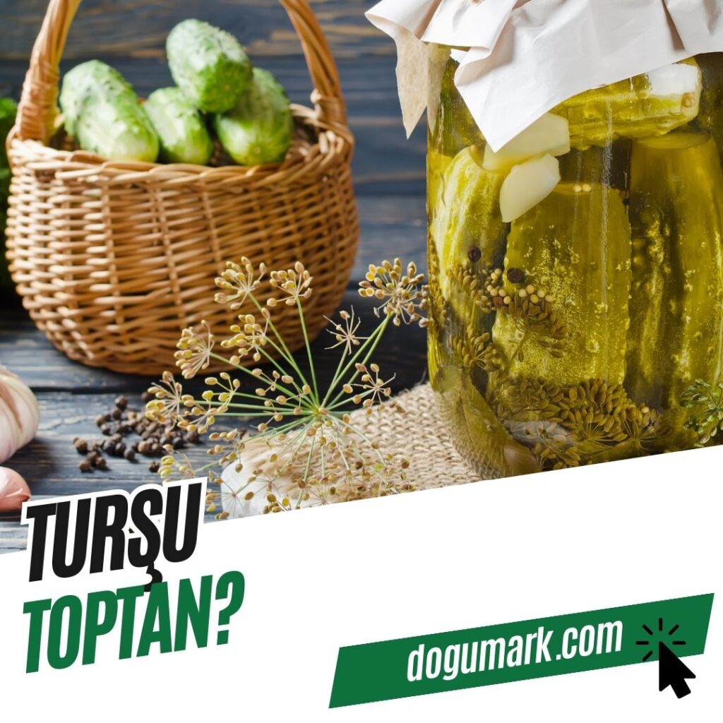 Turşu Toptan