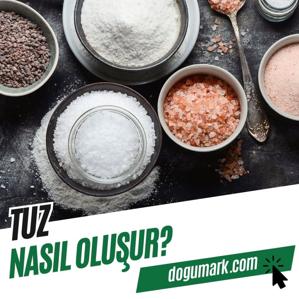 Tuz Nasıl Oluşur
