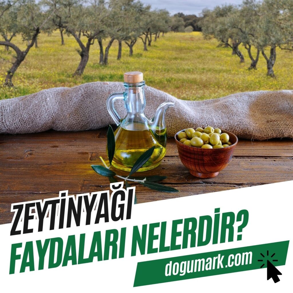 Zeytinyağı Faydaları Nelerdir