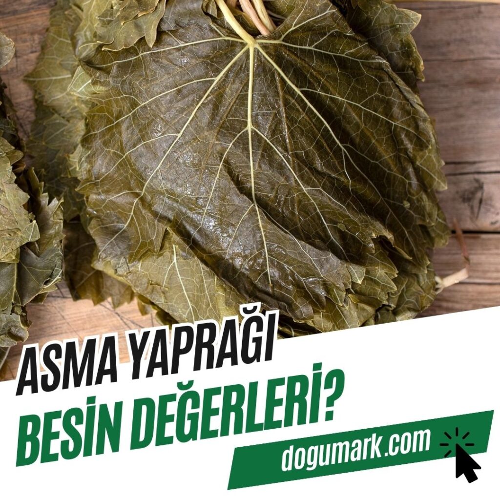 Asma Yaprağı Besin Değerleri