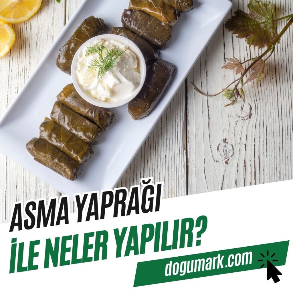 Asma Yaprağı ile Neler Yapılır