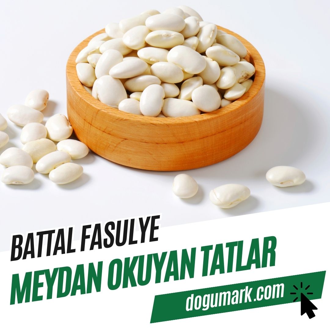 Battal Fasulye