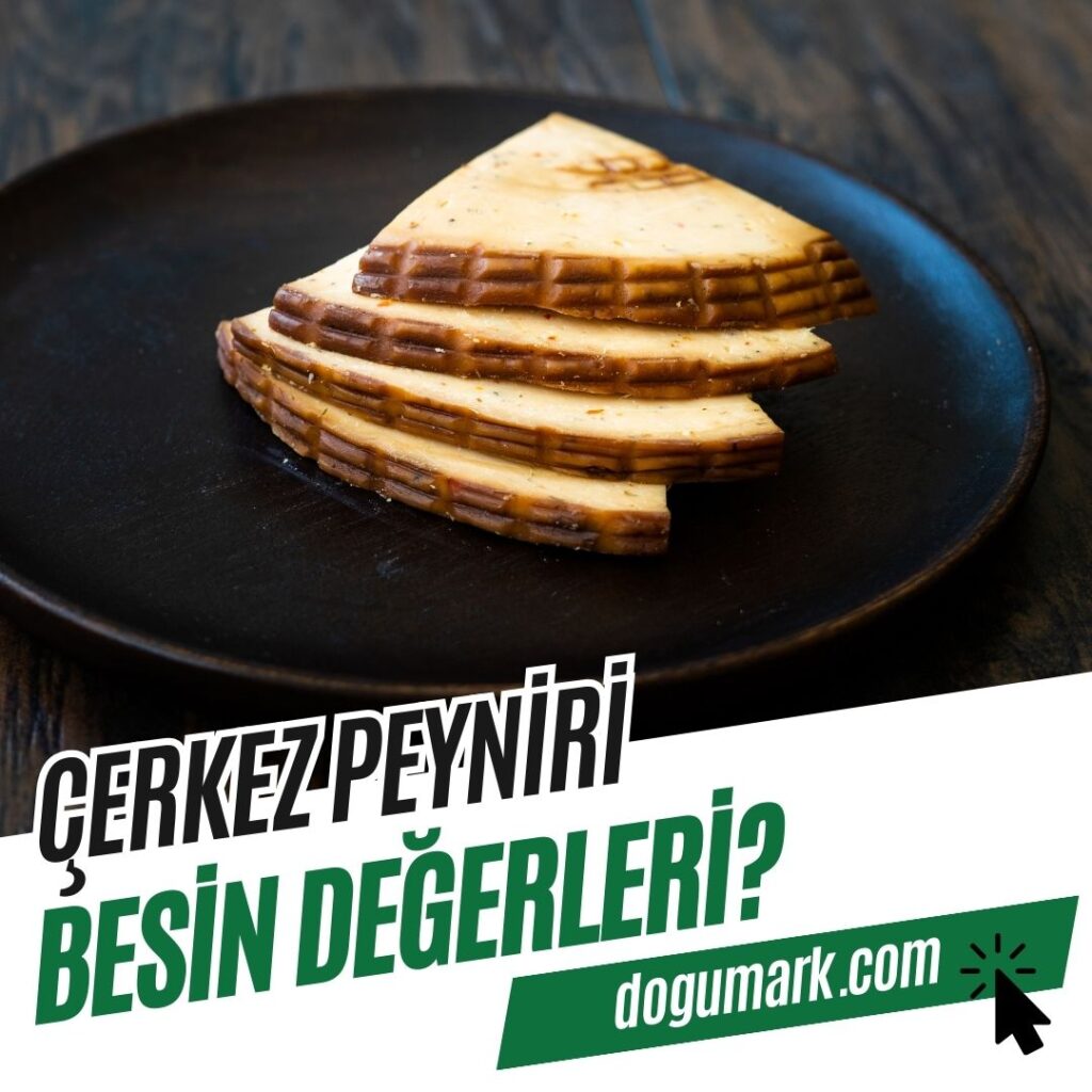 Çerkez Peyniri Besin Değerleri