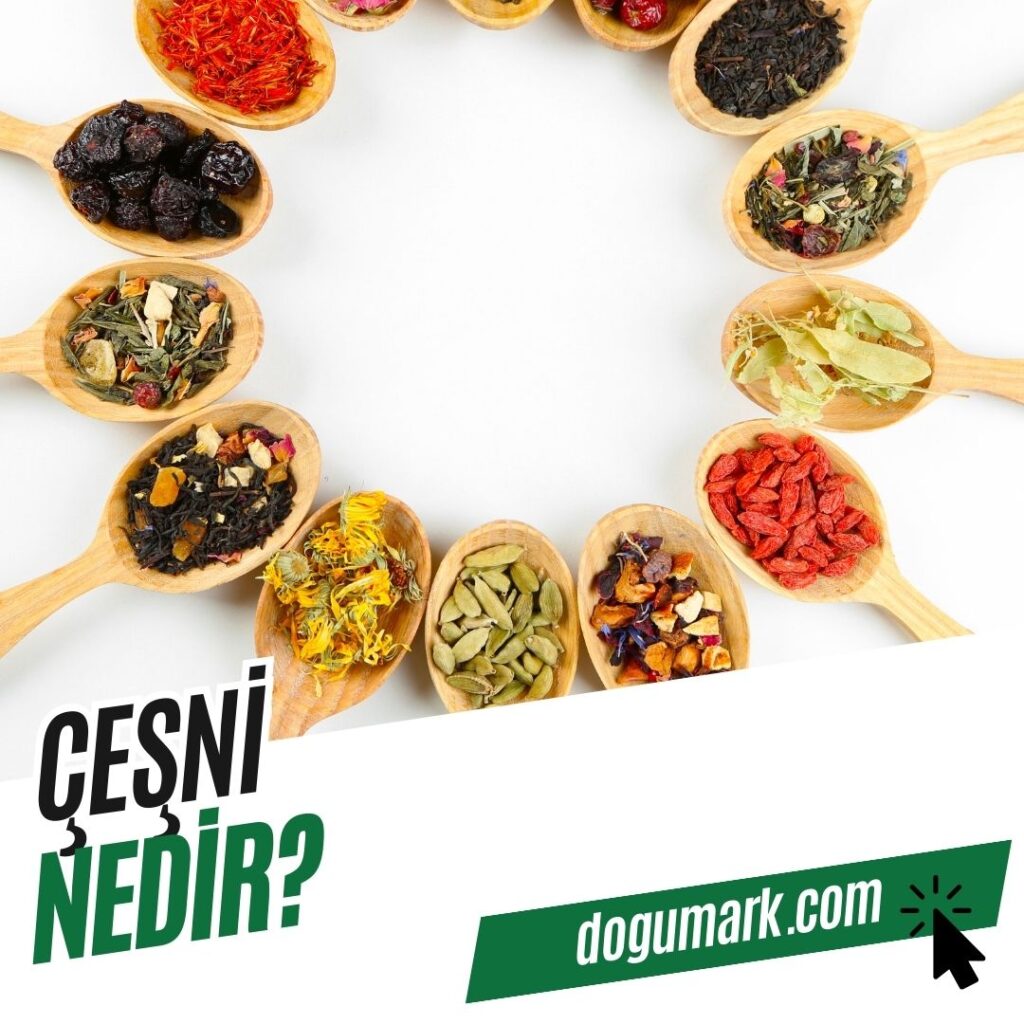 Çeşni Nedir