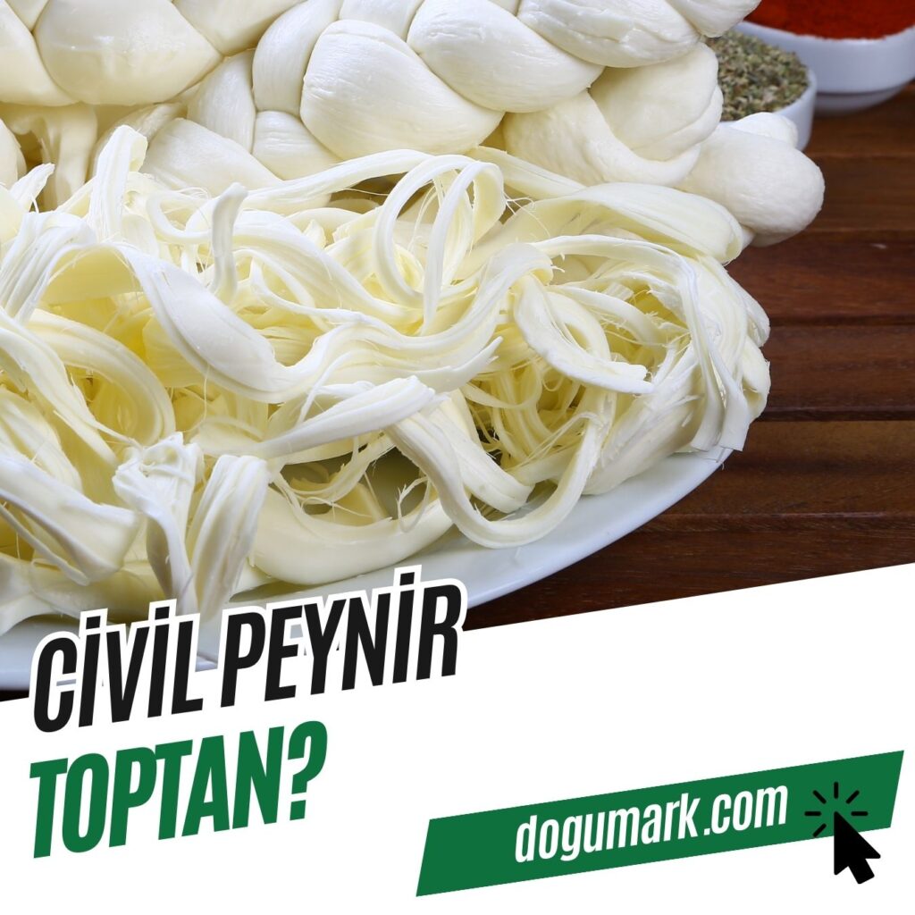 Civil Peynir Toptan