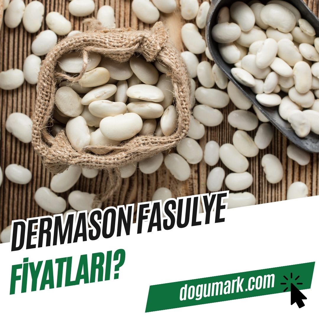 Dermason Fasulye Fiyatları? - DoğuMark