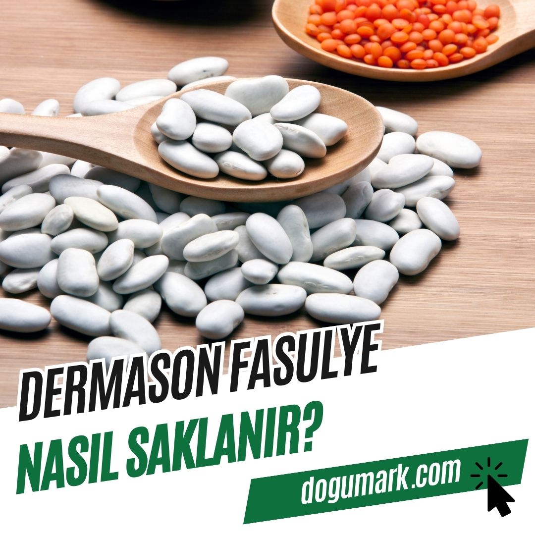 Dermason Fasulye Nasıl Saklanır? - DoğuMark