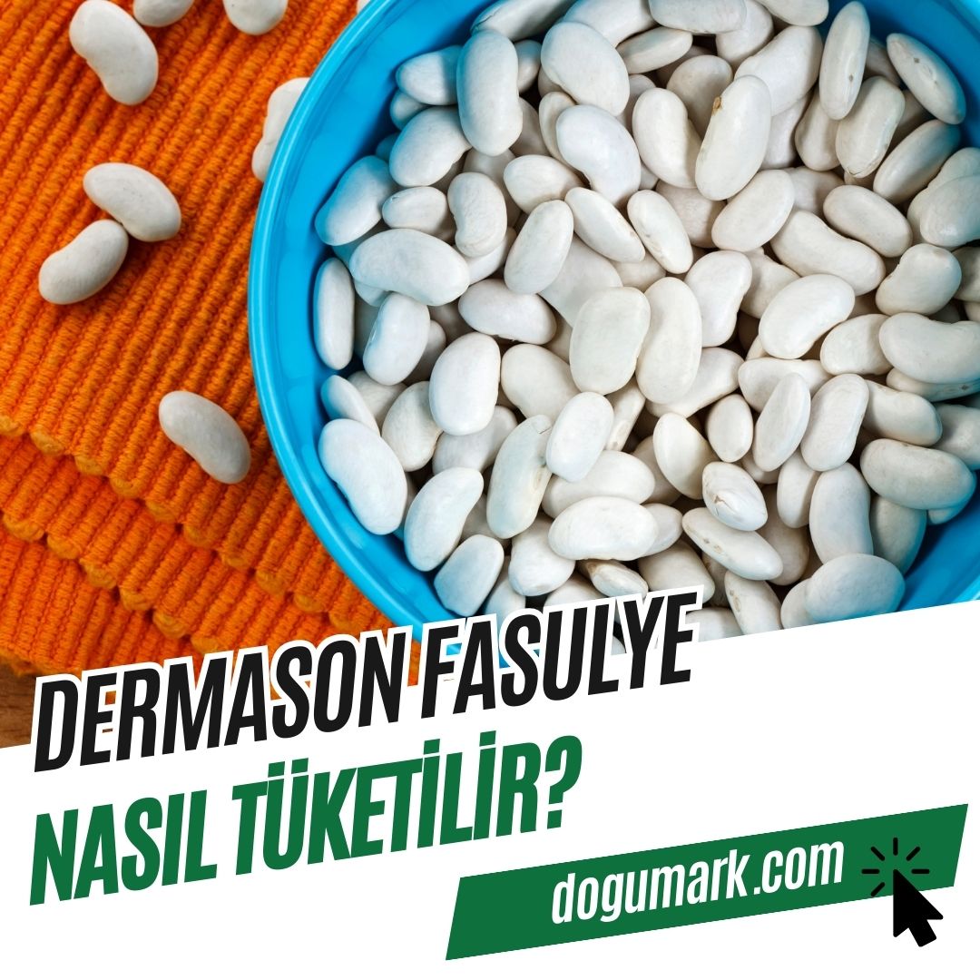 Dermason Fasulye Nasıl Tüketilir? - DoğuMark