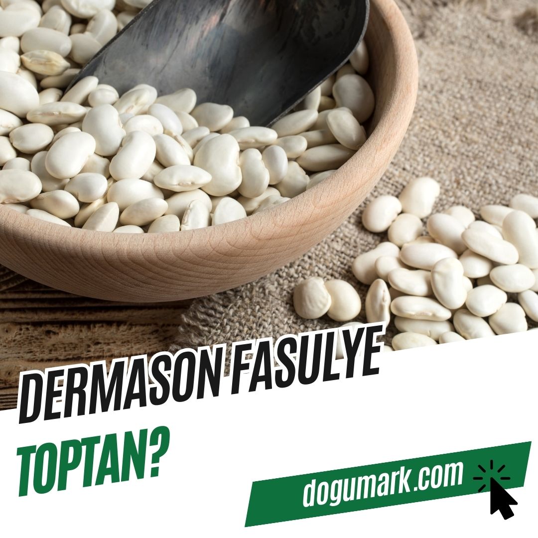 Dermason Fasulye Toptan? - DoğuMark