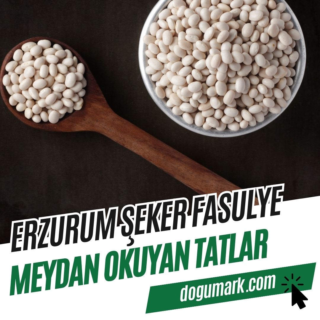 Erzurum Şeker Fasulye