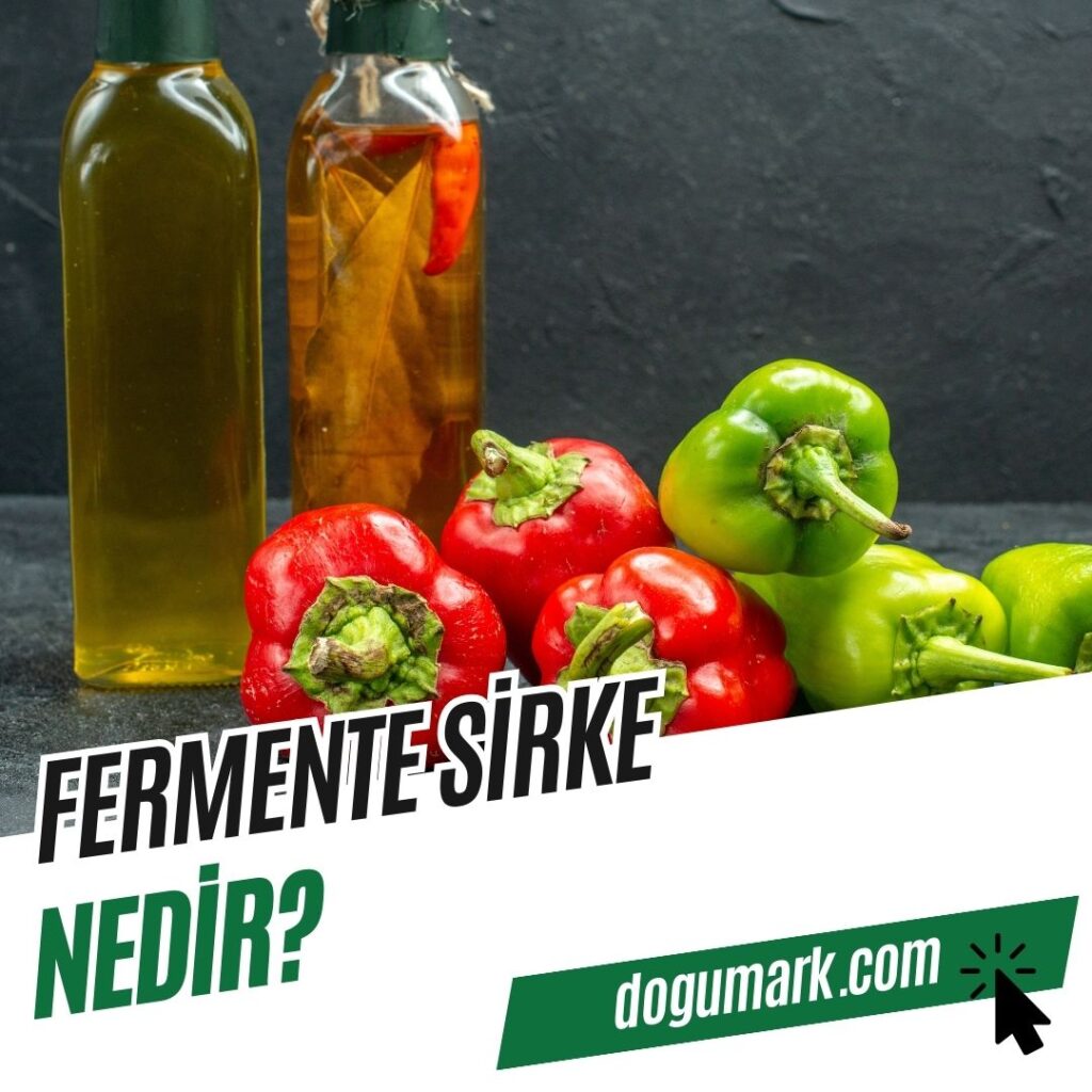 Fermente Sirke Nedir