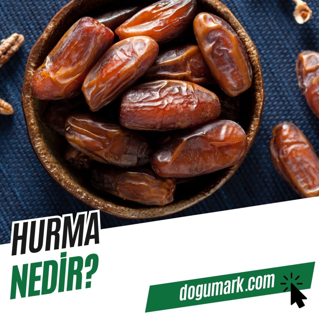 Hurma Nedir