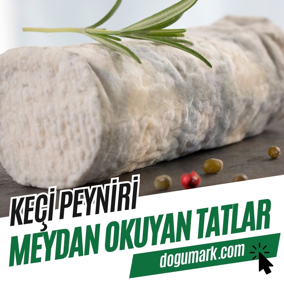 Keçi Peyniri