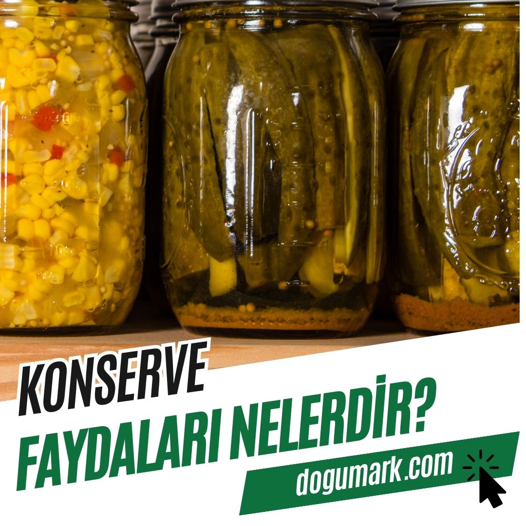 Konserve Faydaları Nelerdir? - DoğuMark