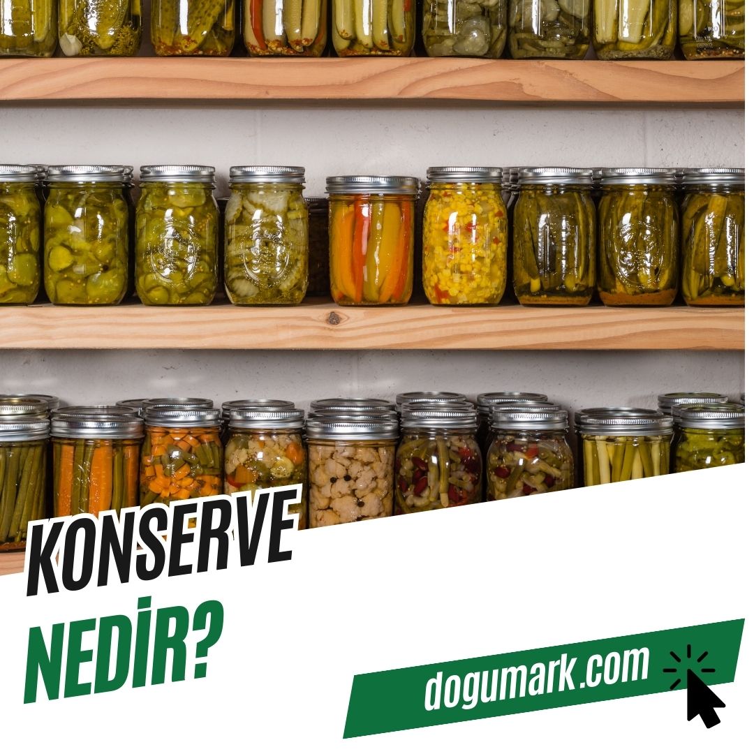 Konserve Nedir? - DoğuMark