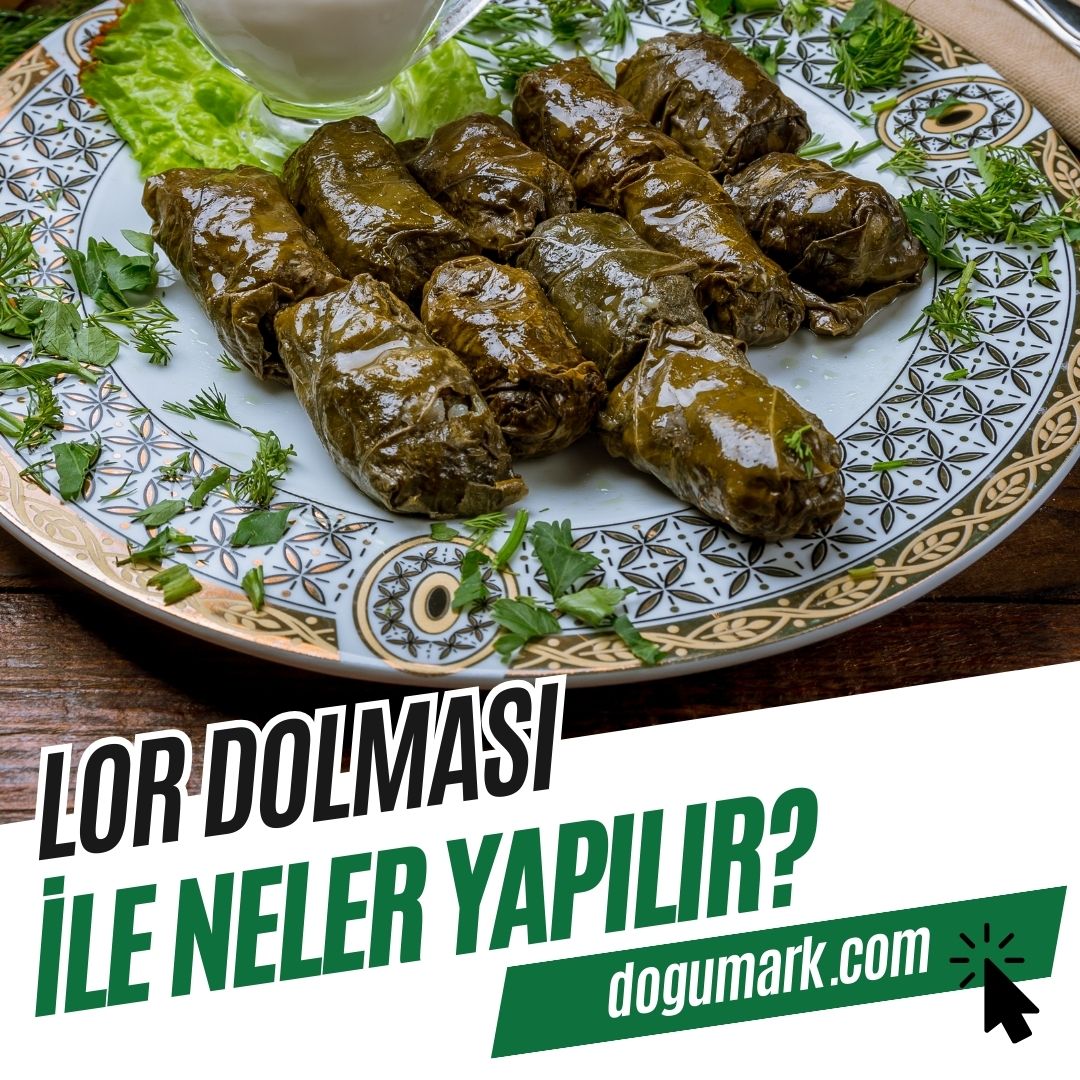 Lor Dolması ile Neler Yapılır? - DoğuMark