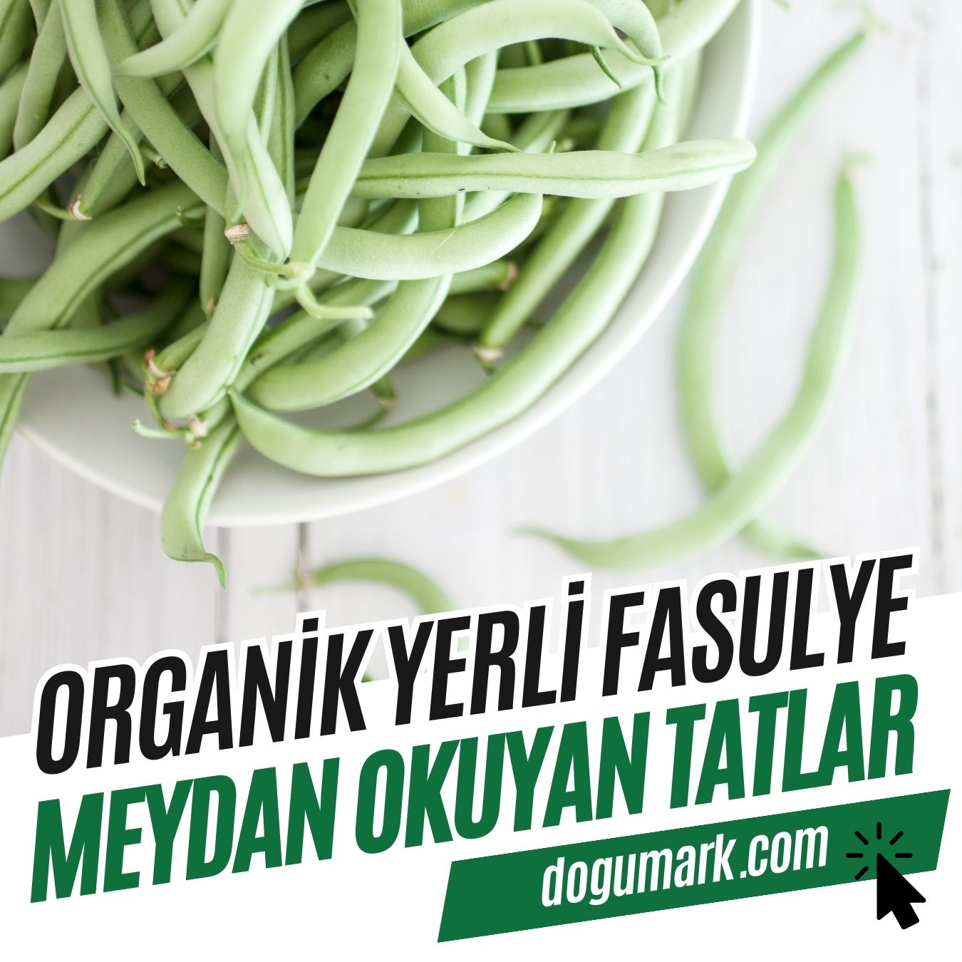 Organik Yerli Fasulye