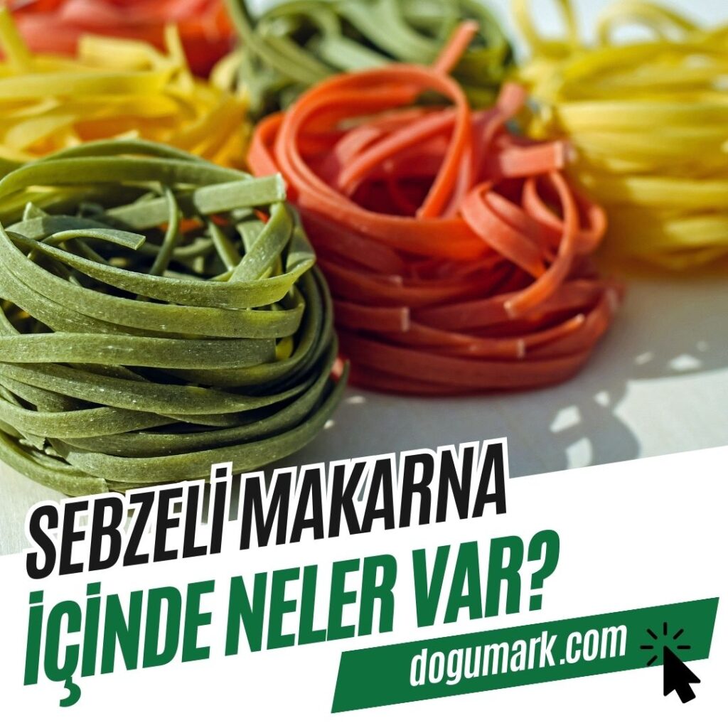 Sebzeli Makarna İçinde Neler Var