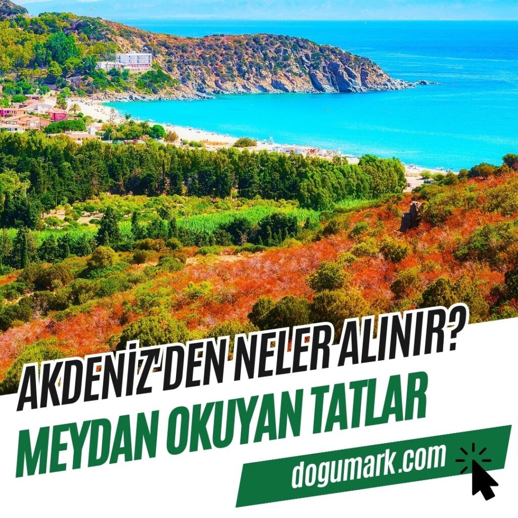Akdeniz'den Neler Alınır