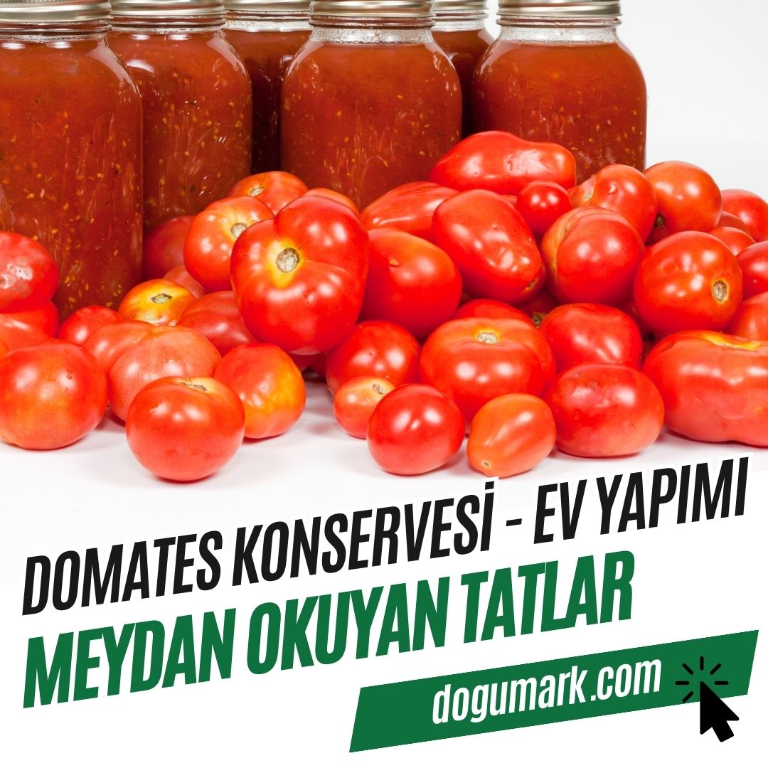 Domates Konservesi (500cc) - Ev Yapımı-3