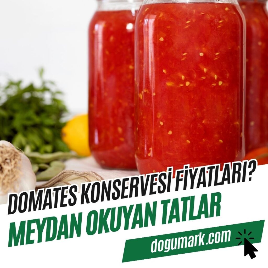Domates Konservesi Fiyatları