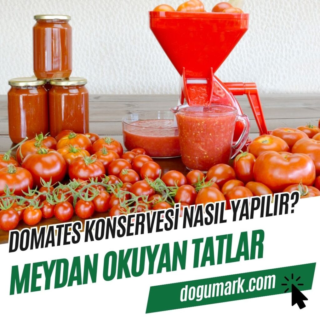 Domates Konservesi Nasıl Yapılır