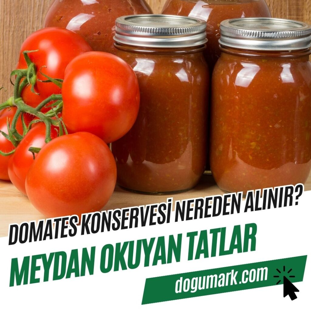 Domates Konservesi Nereden Alınır