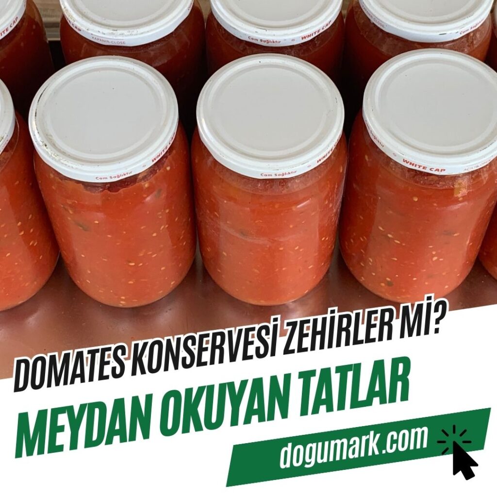 Domates Konservesi Zehirler mi