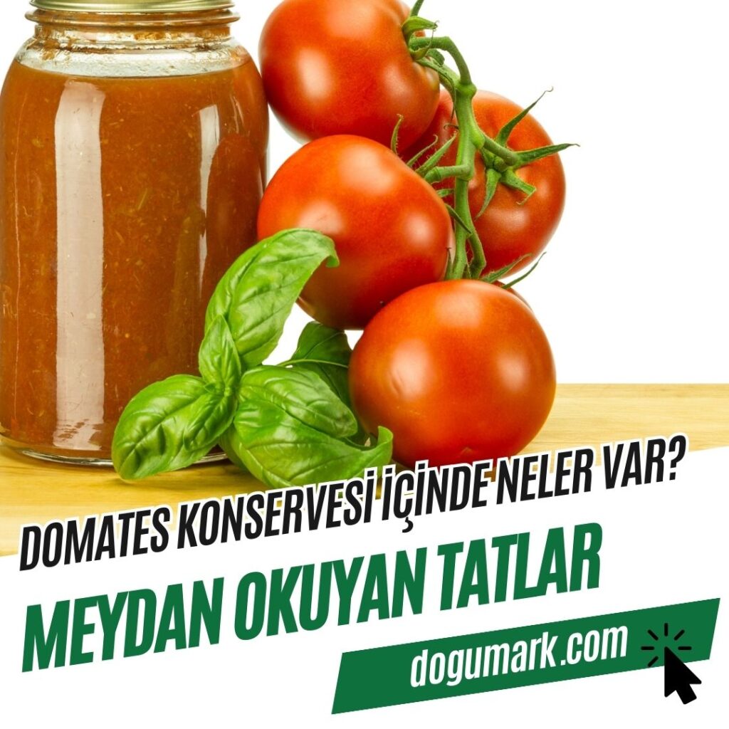 Domates Konservesi içinde Neler Var
