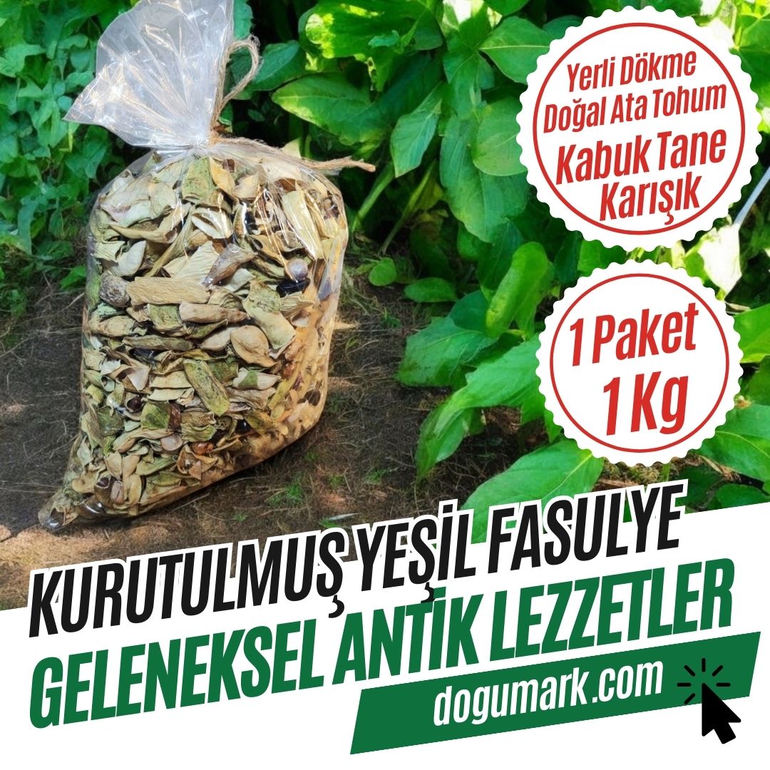Doğal Kurutulmuş Taze Yeşil Fasulye - Kuru Sebze (1 Kg)
