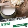 Kafkas Canlı Kefir Mayası - Ev Yapımı (7g)-1