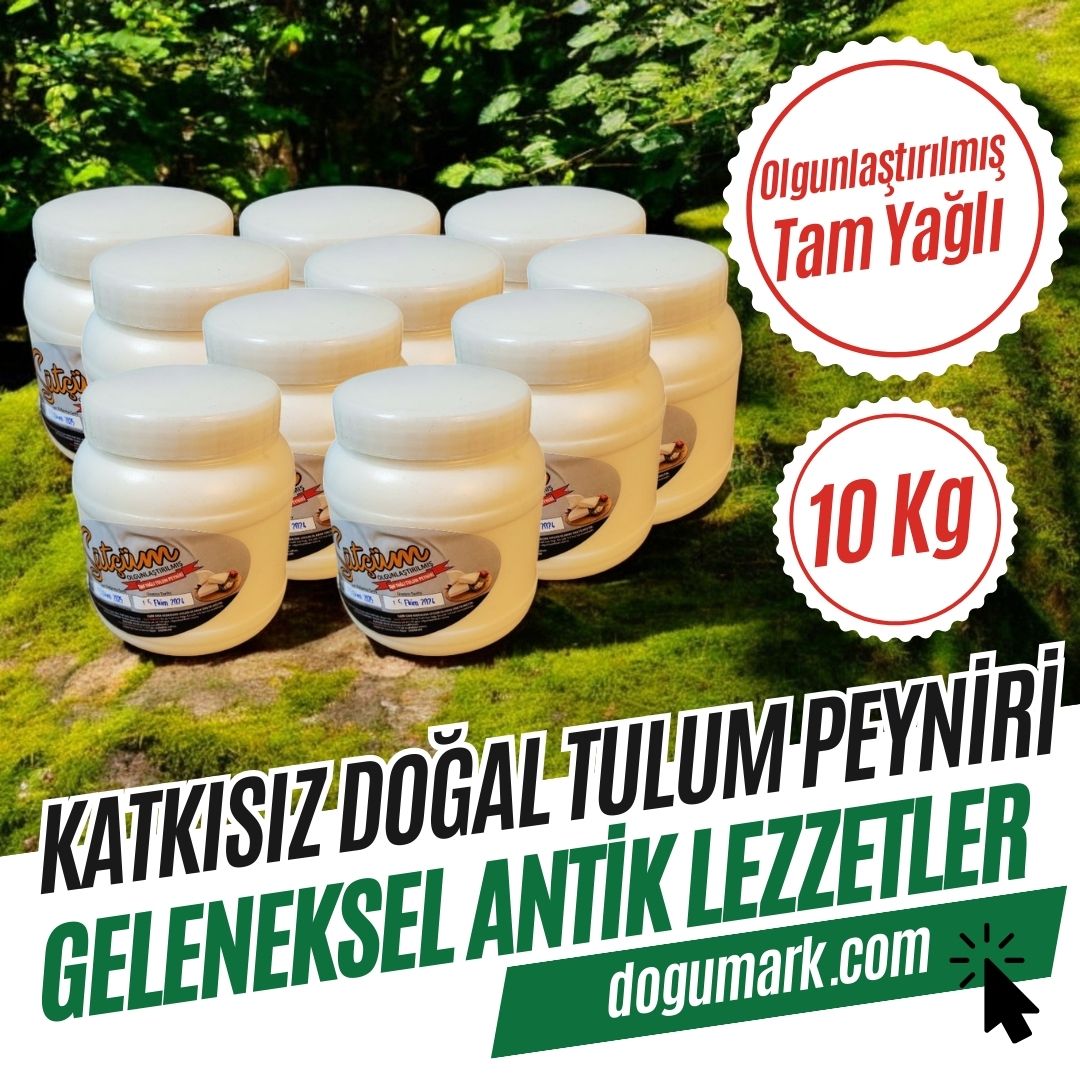 Katkısız Doğal Tam Yağlı Erzincan Şavak Tulum Peyniri (10 Kg)