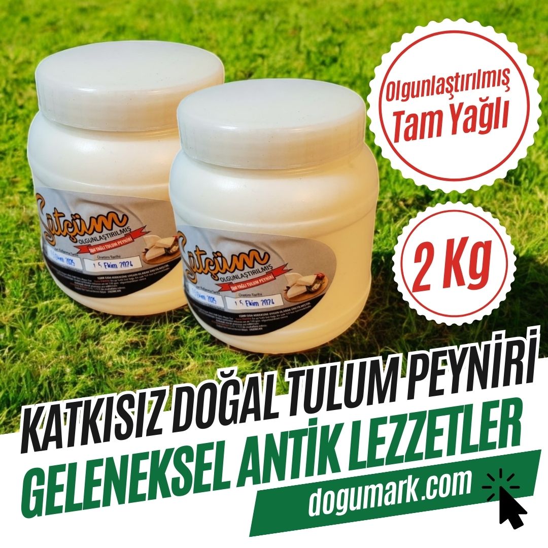 Katkısız Doğal Tam Yağlı Erzincan Şavak Tulum Peyniri (2 Kg)