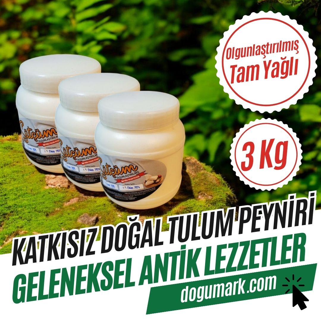 Katkısız Doğal Tam Yağlı Erzincan Şavak Tulum Peyniri (3 Kg)