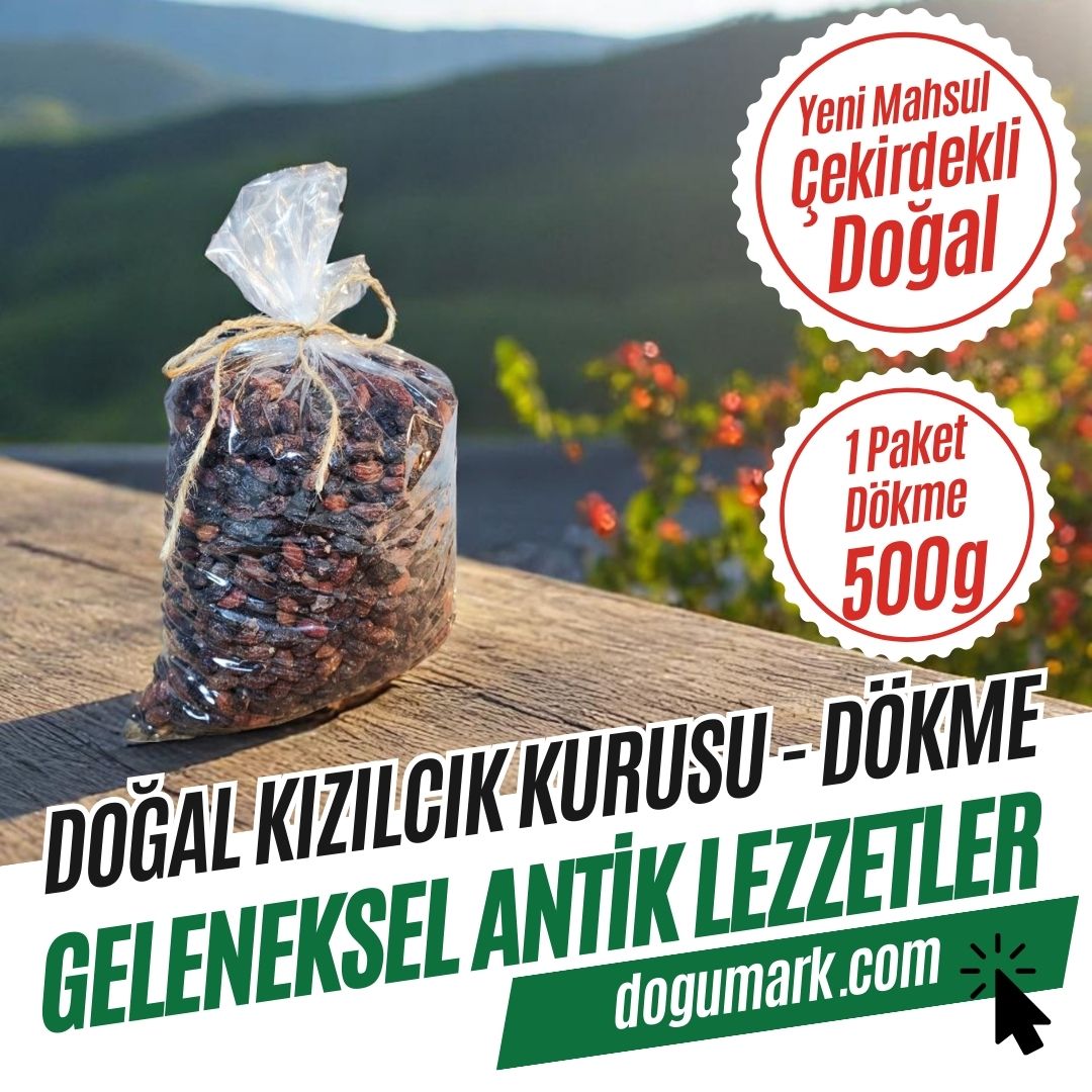 Doğal Kızılcık Kurusu - Çekirdekli - Kuru Meyve (500g) Dökme