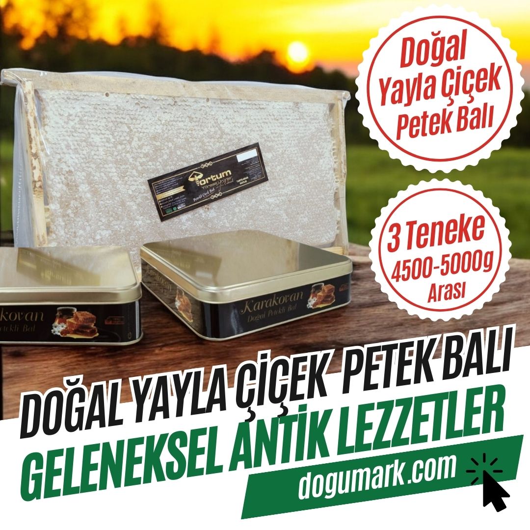 Doğal Yayla Çiçek Petek Balı (3 Teneke 4500-5000g Arası)