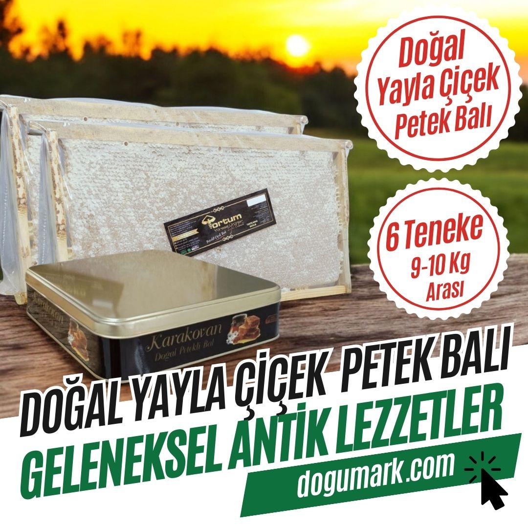 Doğal Yayla Çiçek Petek Balı (6 Teneke 9-10 Kg Arası)