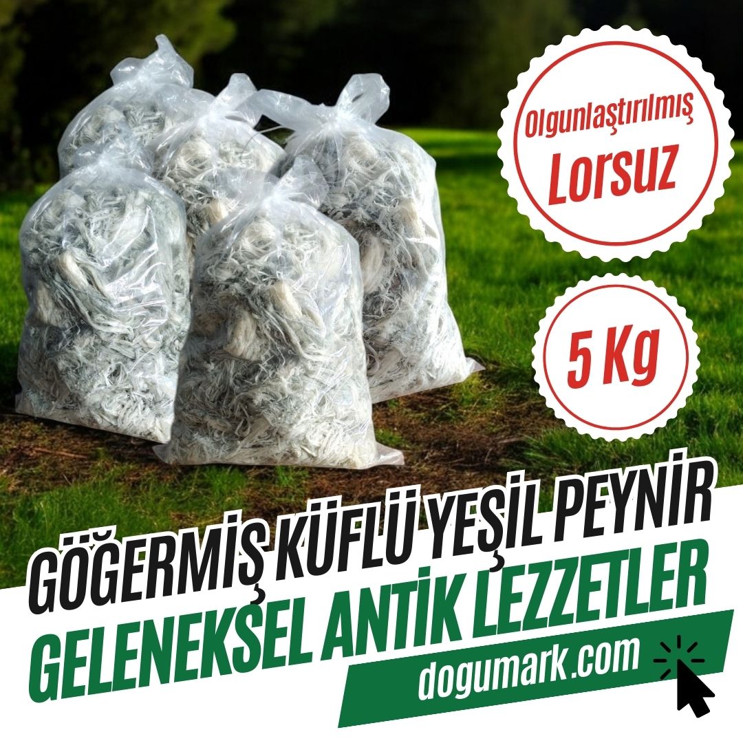 Katkısız Doğal Göğermiş Küflü Yeşil Peynir - Lorsuz (5 Kg) Dökme